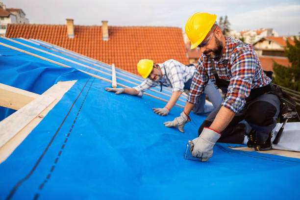 Roof Installation Near Me in Thomasboro, IL