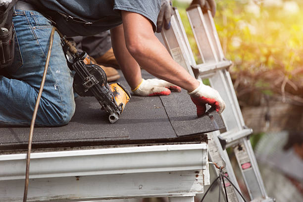 Best Roof Gutter Cleaning  in Thomasboro, IL