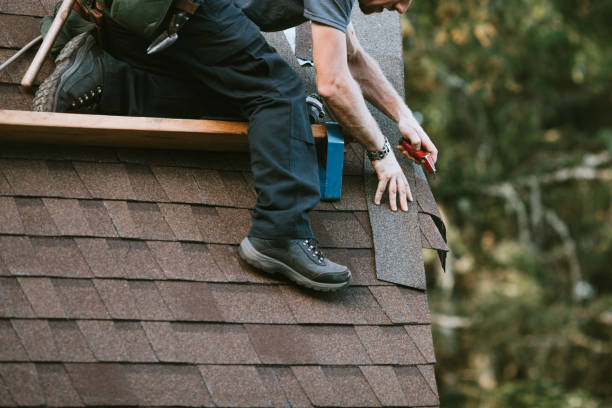 Best Roof Restoration Services  in Thomasboro, IL