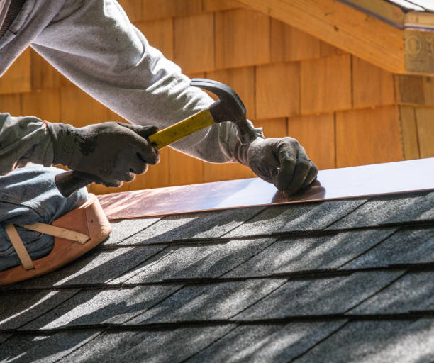 Best Roof Repair Services  in Thomasboro, IL
